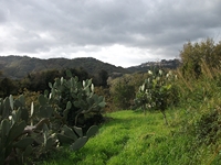 cantara gurne23122011 138